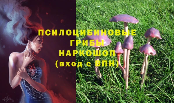 2c-b Баксан