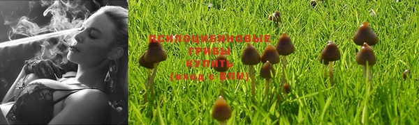 гашиш Рославль