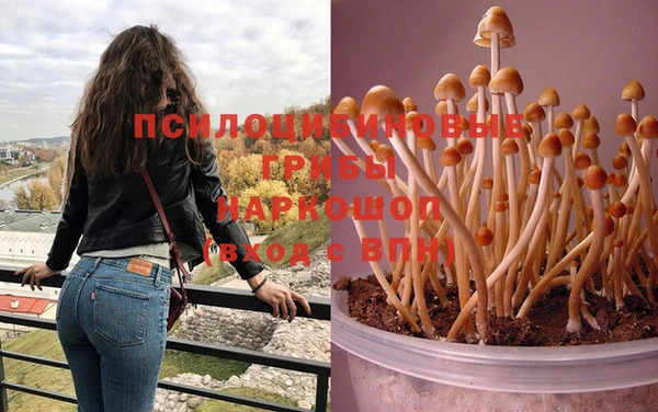 дмт Балабаново